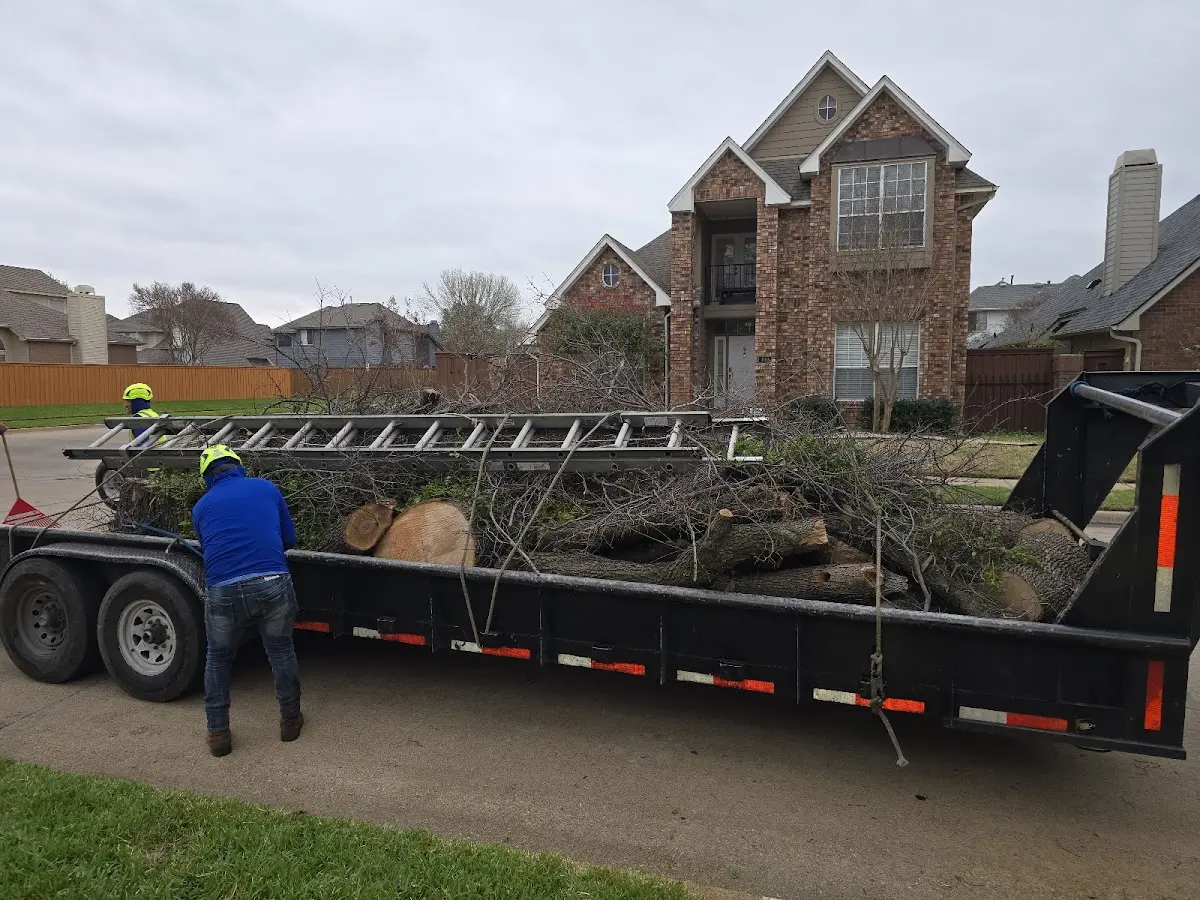 Expert Tree Removal with proper safety equipment in Hickory Valley